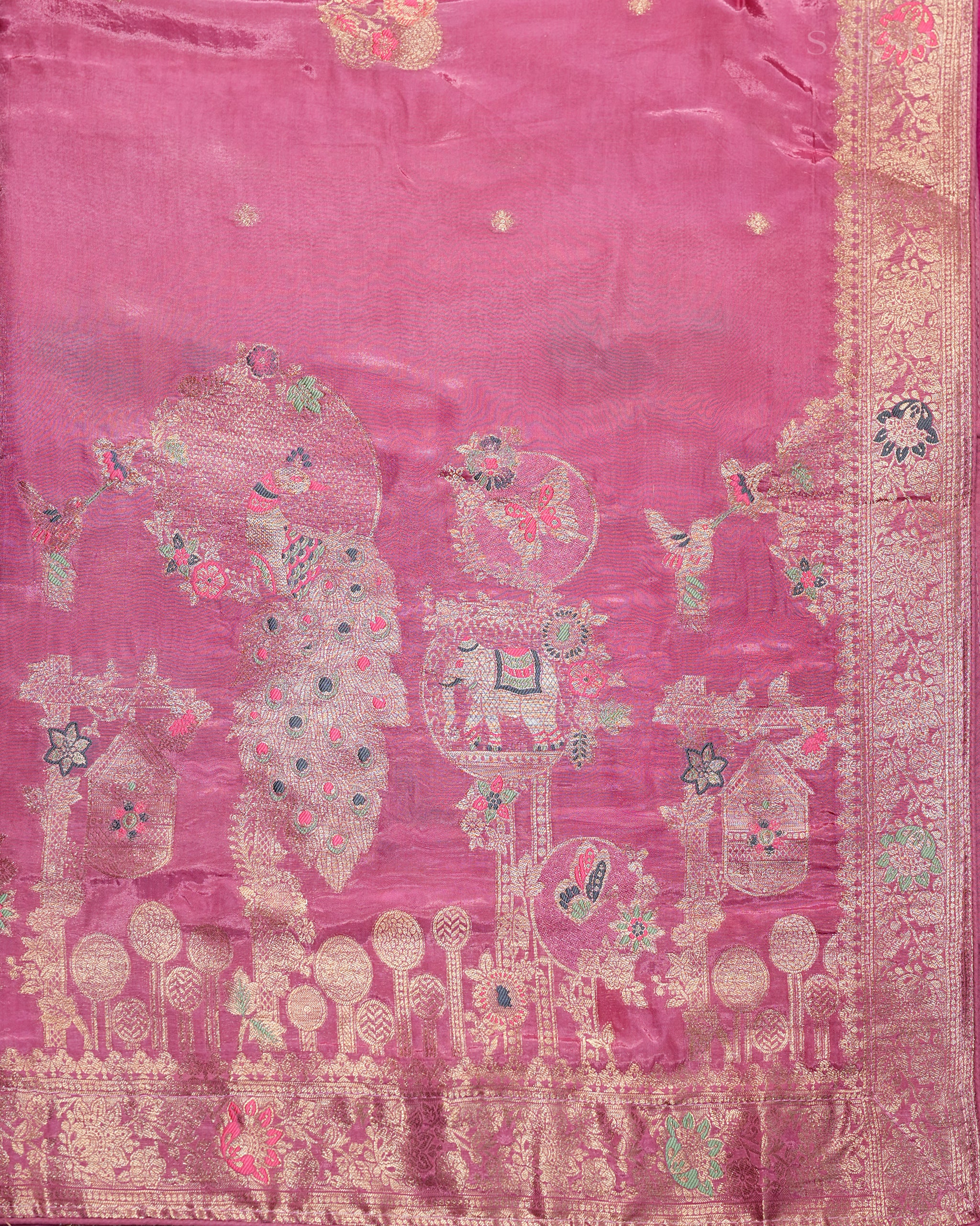 Signature Regal Butterfly Peacock Dance in Pink